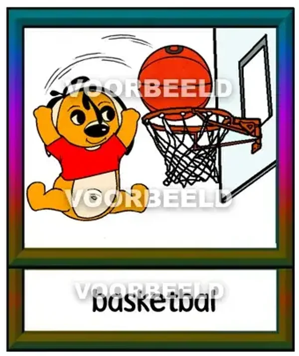 Basketbal