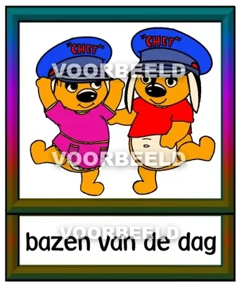 Bazen van de dag