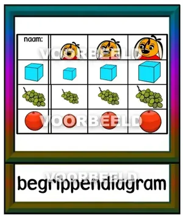 Begrippendiagram