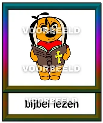 Bijbel lezen