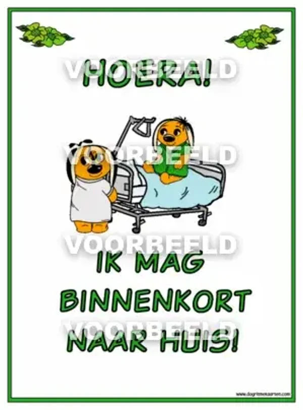 Binnenkort naar huis DIPLOMA (A4)
