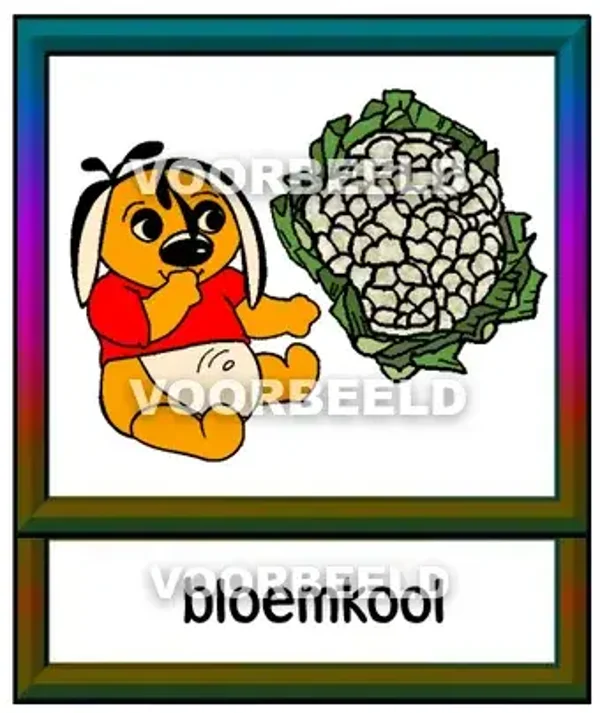 Bloemkool