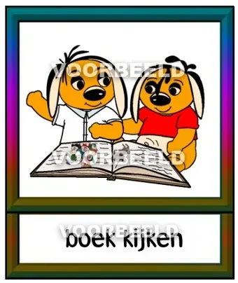 Boek kijken