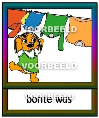 Bonte was