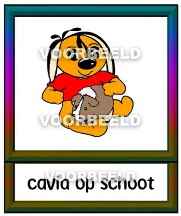 Cavia op schoot
