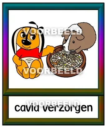 Cavia verzorgen