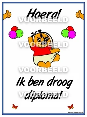 Droog DIPLOMA (A4)
