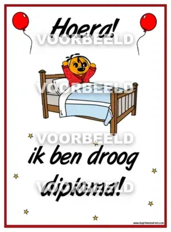 Droog in bed DIPLOMA (A4)
