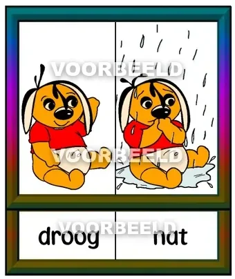Droog | Nat
