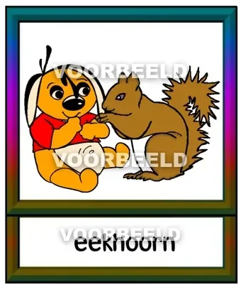 Eekhoorn
