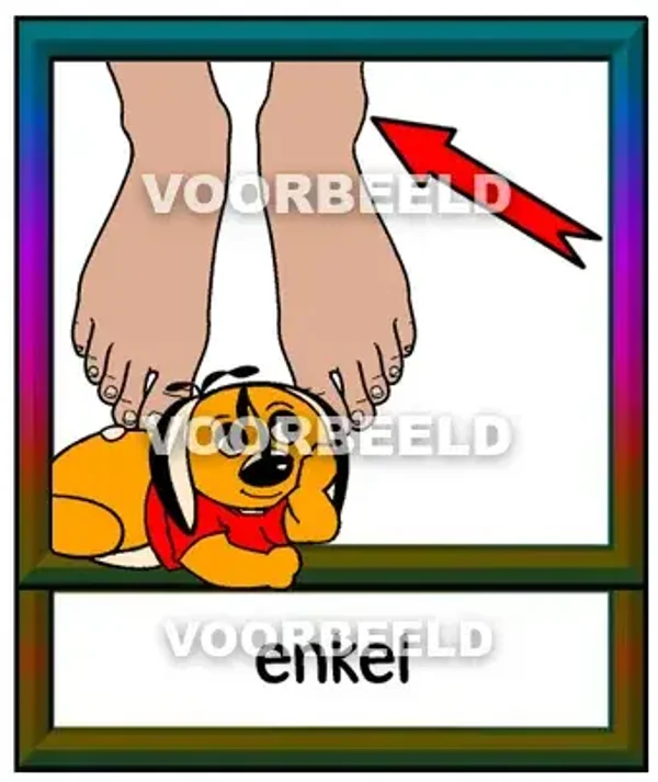 Enkel