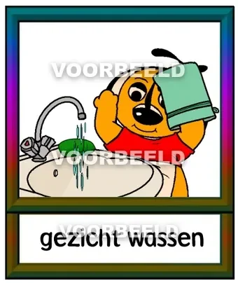 Gezicht wassen