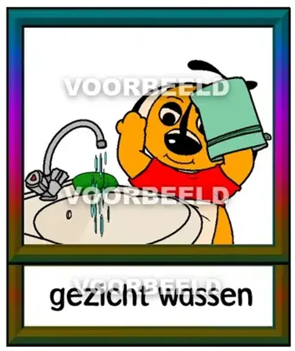 Gezicht wassen