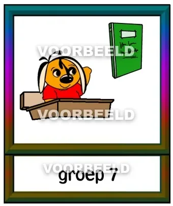 Groep 7