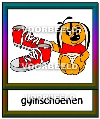 Gymschoenen