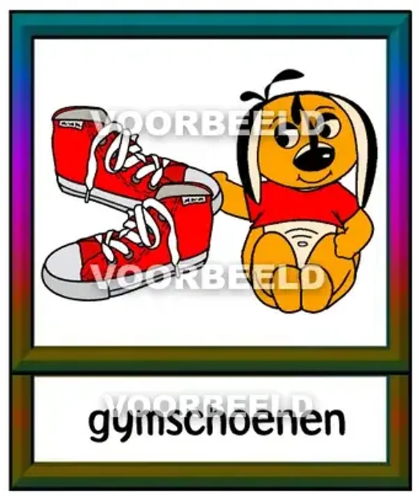 Gymschoenen