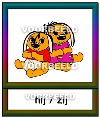 Hij / zij