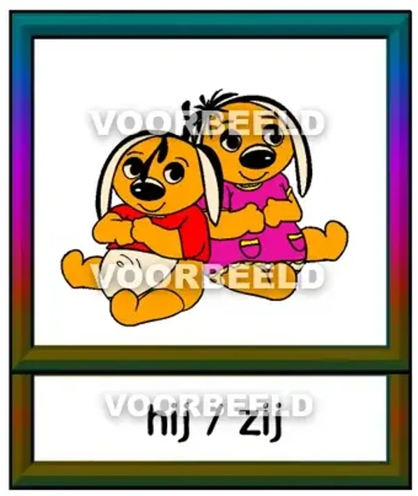Hij / zij