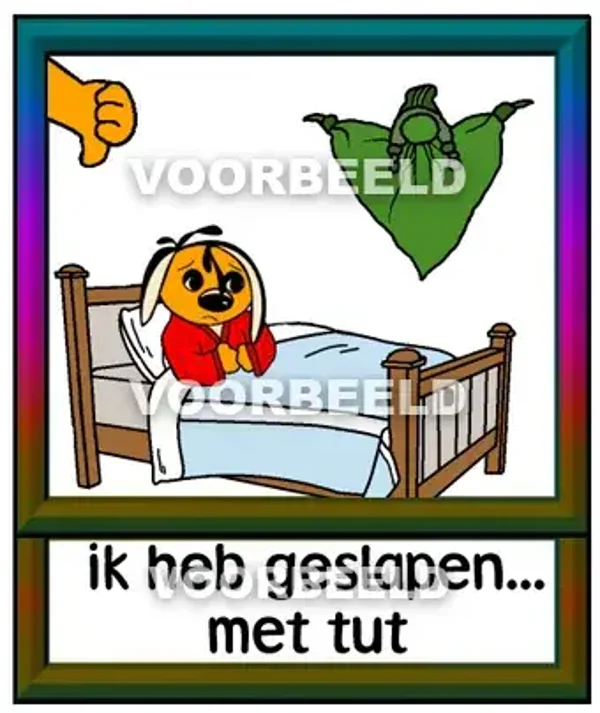Ik heb geslapen met tut