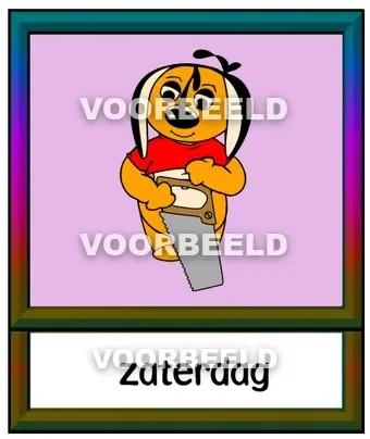 Zaterdag roze