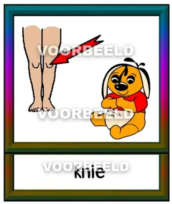 Knie