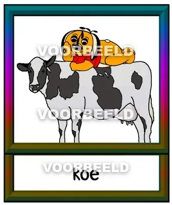 Koe