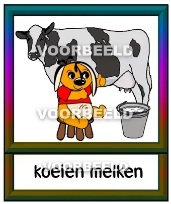 Koeien melken