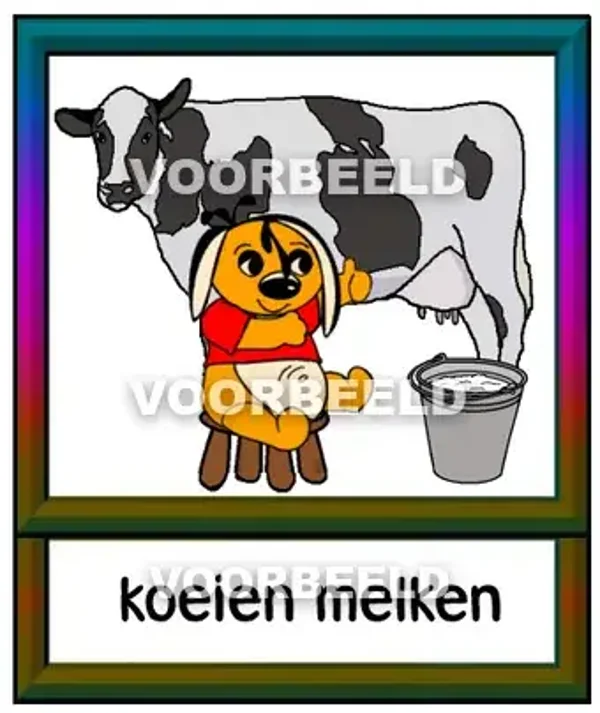 Koeien melken