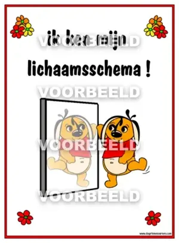 Lichaamsschema DIPLOMA (A4)