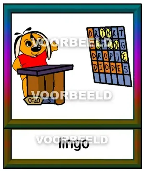 Lingo
