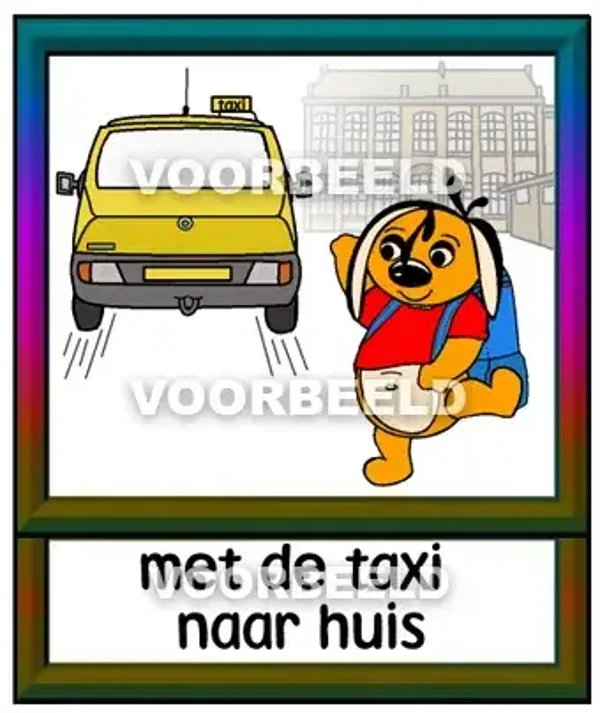 Met de taxi naar huis