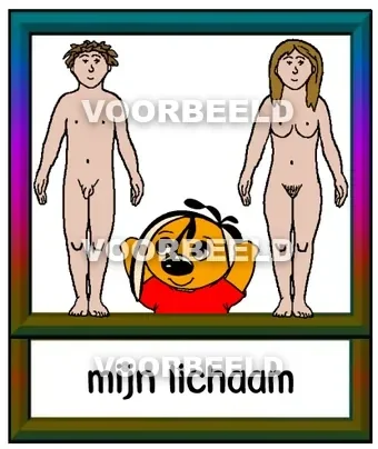 Mijn lichaam