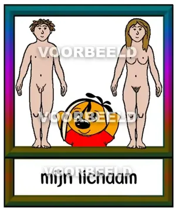 Mijn lichaam