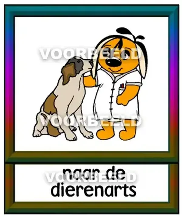 Naar de dierenarts