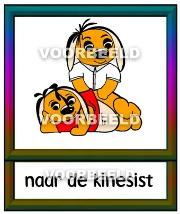 Naar de kinesist