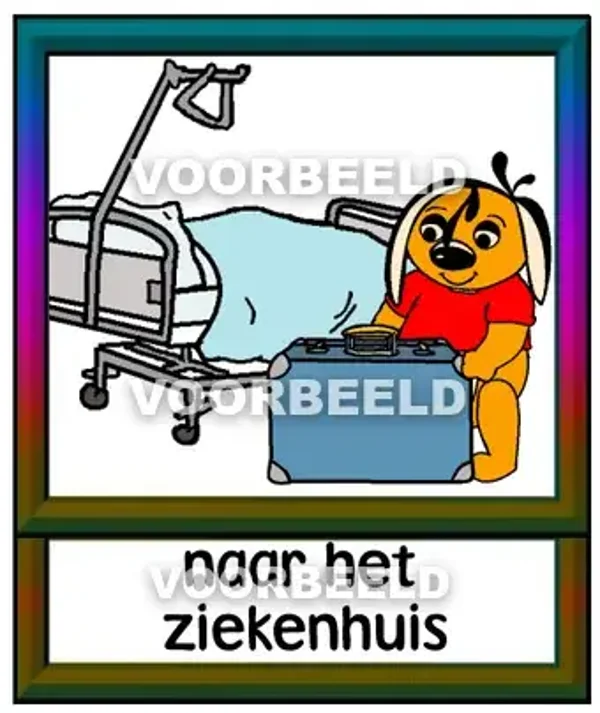 Naar het ziekenhuis