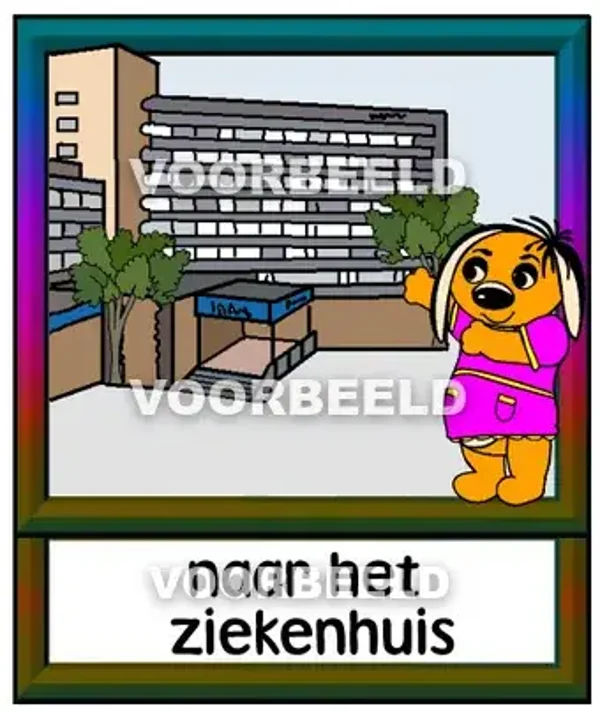Naar het ziekenhuis 2