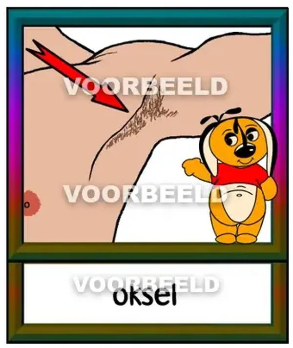 Oksel