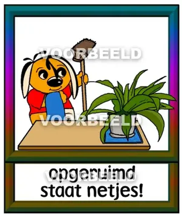 Opgeruimd staat netjes
