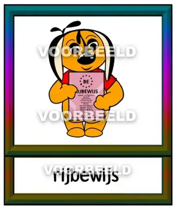 Rijbewijs 2