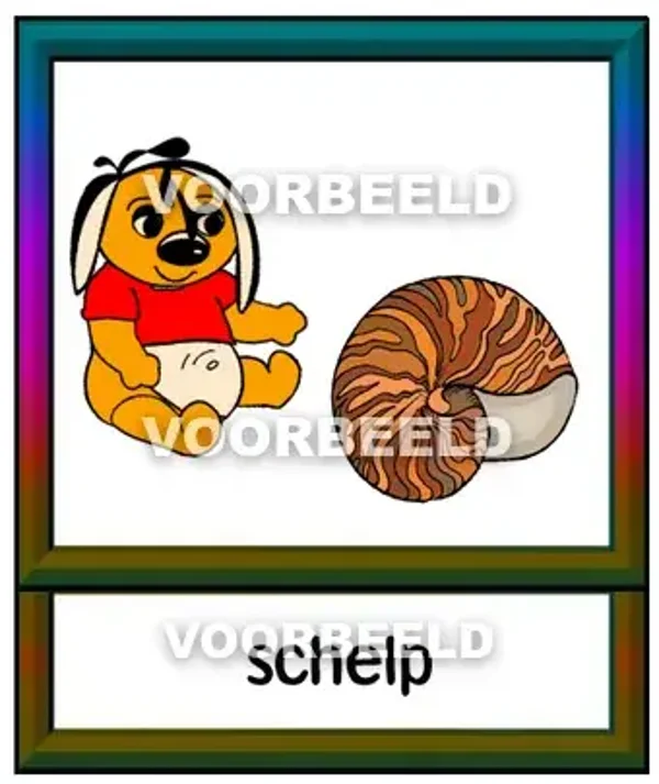 Schelp