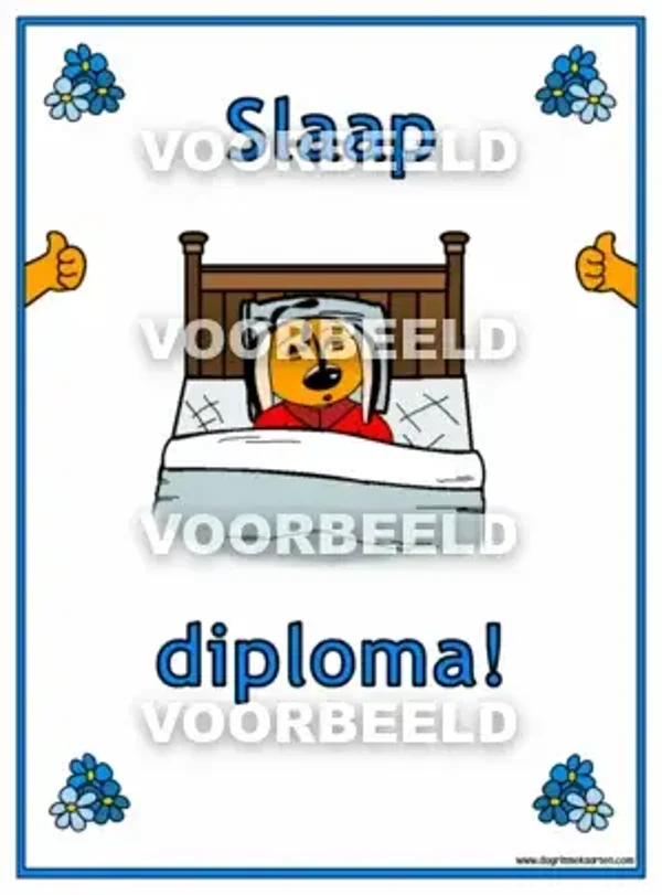 Slaap DIPLOMA (A4)