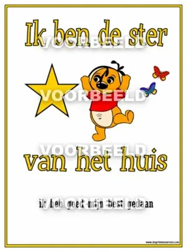 Ster van het huis DIPLOMA (A4)