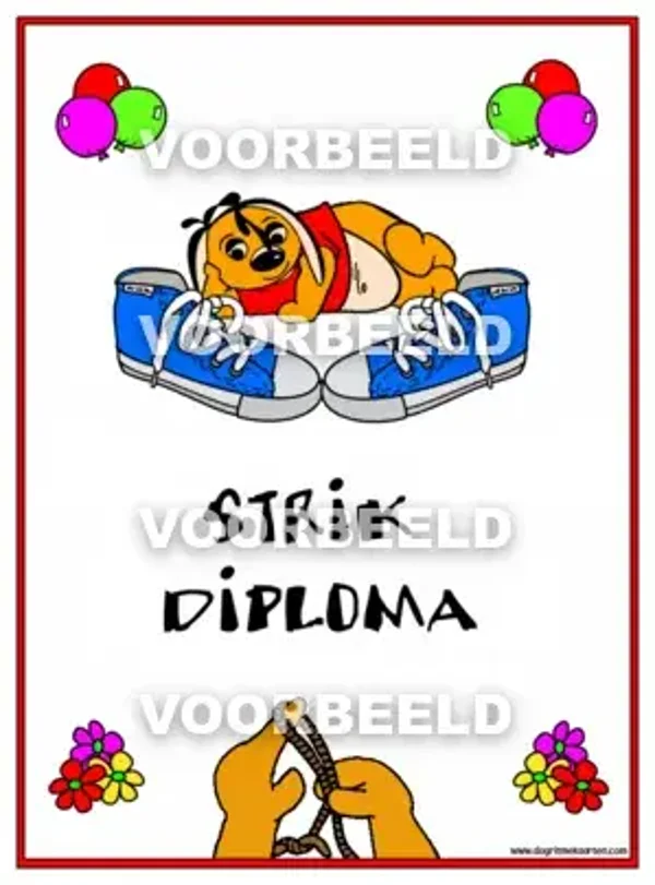 Strik DIPLOMA (A4)