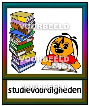 Studievaardigheden