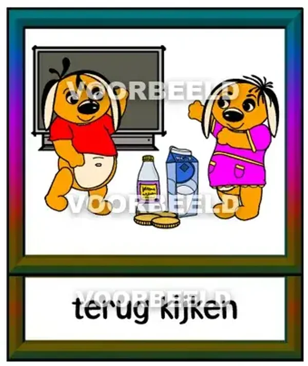 Terug kijken