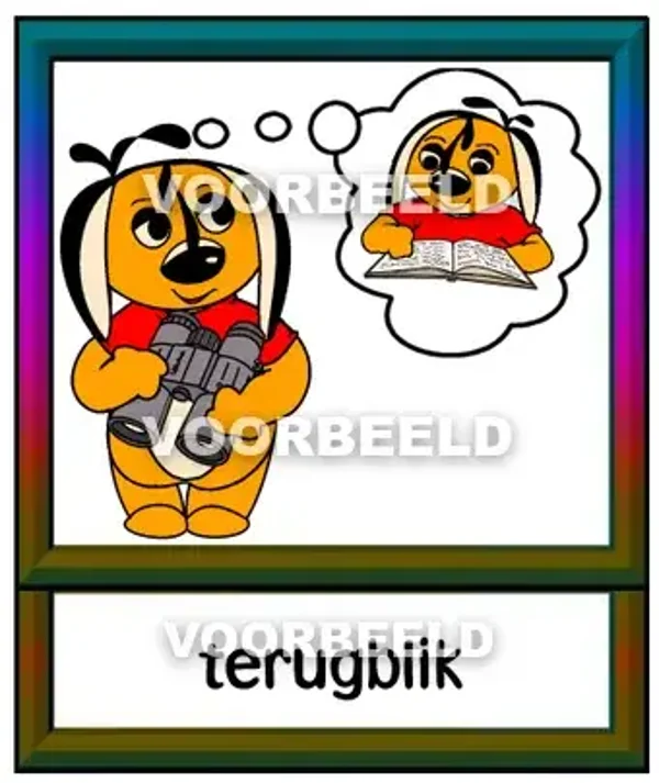 Terugblik