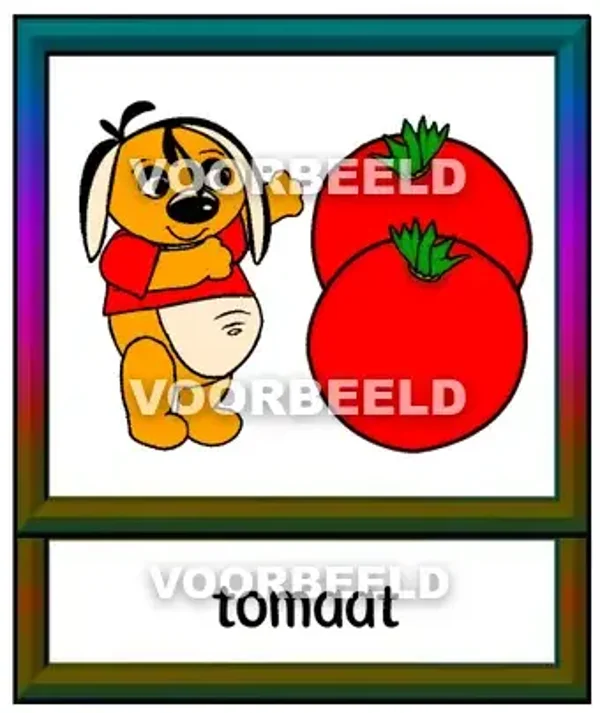 Tomaat