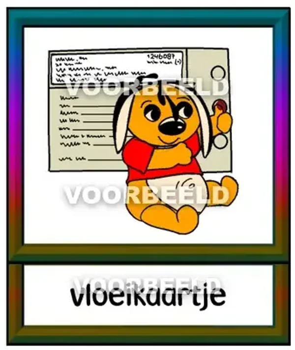 Vloeikaartje