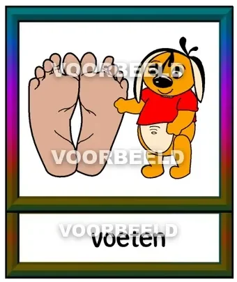 Voeten